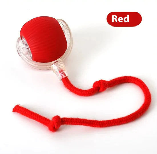 Motion Activated Sensor Interactive Cat Toy