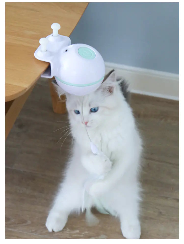 Pet Toy Ball with USB Electric Teaser Wand (Replaceable)